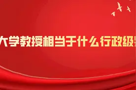大学教授享受什么行政级别的待遇图片