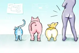 人类屁股是如何进化的？与其他灵长目动物差异如此之大图片