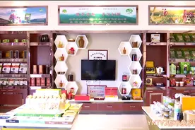 走向我们的小康生活｜科学发展走出云南 野生菌产业成脱贫“法宝”图片