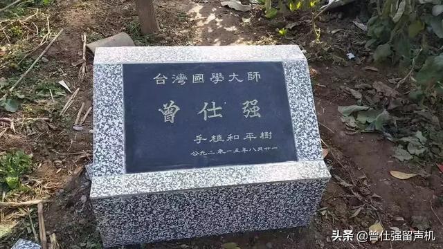 曾仕强教授：“种树和育人一样，是希望，是传承，是生生不息。”