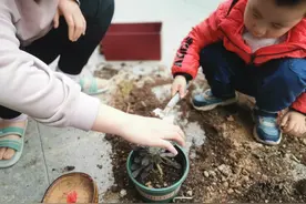 碱性土壤危害大，调整盆土酸碱度，只需这几步即可图片