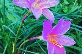 某人，我爱你，刻骨铭心，我想你，情深一时，念你一生图片