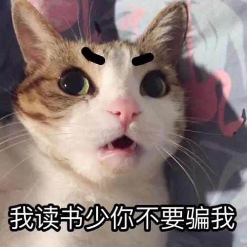 ҵĹҪѣҲҪ˿ô