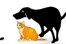「刘子熙」有关鲁迅《狗·猫·鼠》的一点思考图片