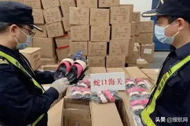 美国海关查获148箱价值900万美元假冒货物，产品发自中国图片