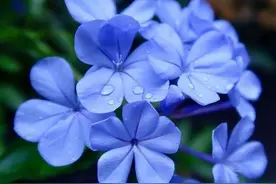 请相信！黑暗的尽头就是光明图片