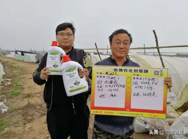 作物根系少？看如何爆发式生根