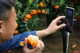 成都“李佳琦”出道！3天带货6000斤……图片