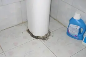 马桶、洗手台的玻璃胶发黑又发霉？用这3个小妙招，霉菌轻松去除图片