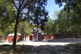 法海寺森林公园图片