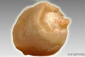 男子捡到一块石头，形状非常像小鸡，专家估值1.3亿图片