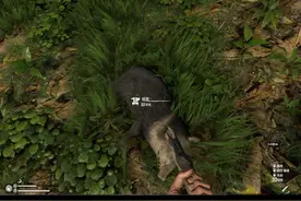 绿色地狱steam中文版图片