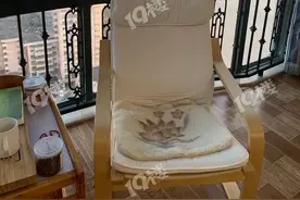 杭州普通家庭隔离第10天：好姐妹在家给老公理发，一刀下去，一言难尽…图片