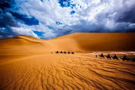 大帮响铃走天下，丝路驼道写诗史——民勤骆驼客图片