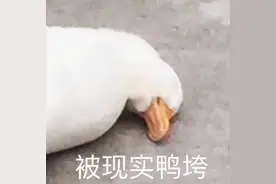 妹妹的嘴真甜呀表情包图片