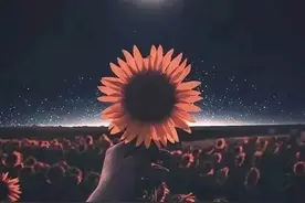 520，致我最在乎的人！图片