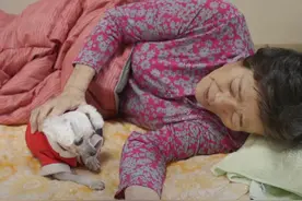 奶奶已照顾狗狗11年，身患重病也要陪着狗狗，“遗愿”却让人感动图片