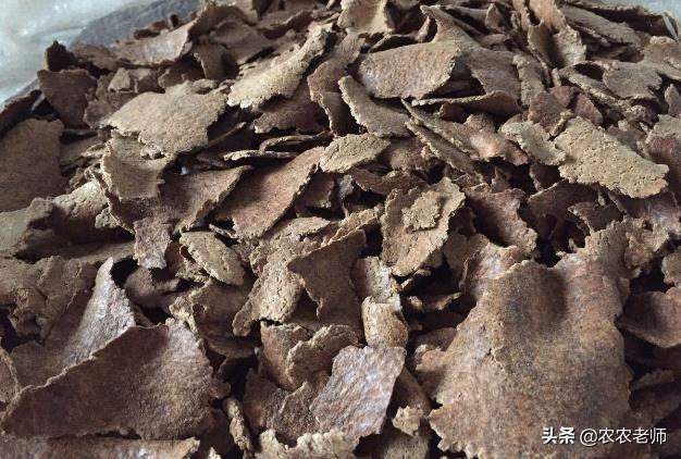 果园没有施有机肥，淋点花生麸液肥吧，用这方法，15天沤好