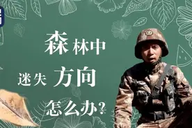 一枚针+一片树叶+一块磁铁制作指南针→新技能get图片