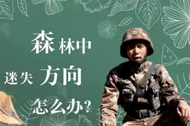 一枚针+一片树叶+一块磁铁制作指南针→新技能get图片