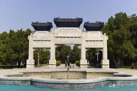 中山公园的郁金香开了图片
