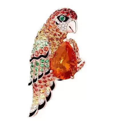 如果矿物会说话——欧泊