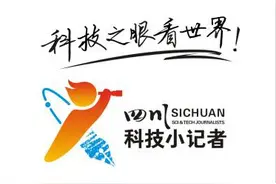 科技小记者风采｜淘气可爱的小猫图片