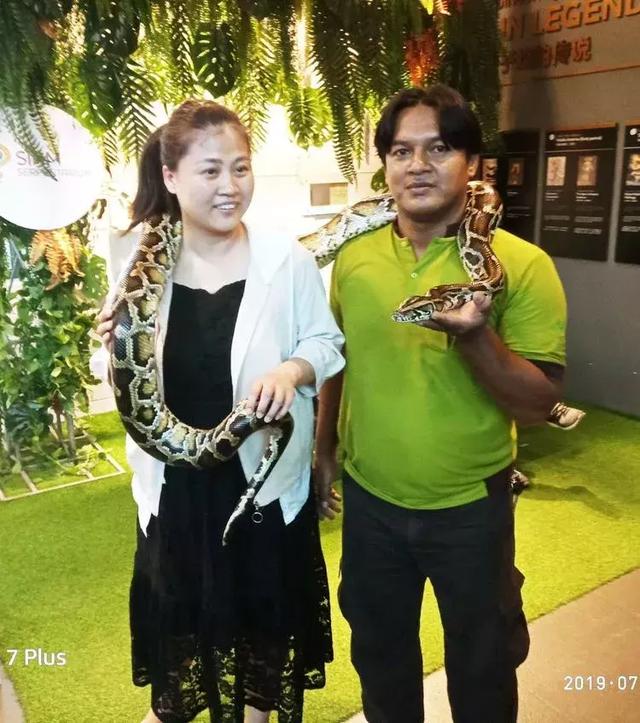 文苑 | 醉游“泰、新、马”三国