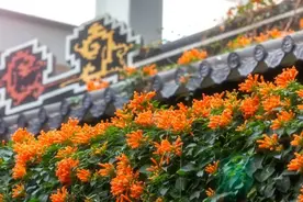 园林里的中国节｜学做热缩掌中花图片
