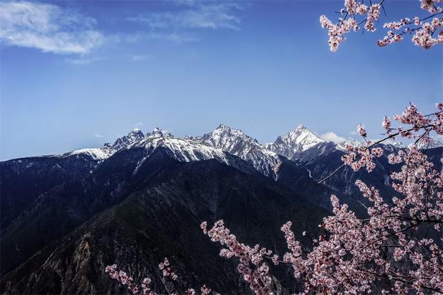 图赏 | 摄影如奇遇,有心得相逢