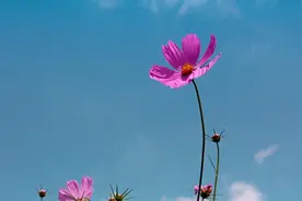 人过六十，不管你多热情，参加饭局时，别管这五件破事图片