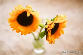 一位婆婆的真心话：帮子女带孩子，务必要守住这三个原则图片