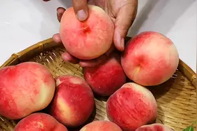 老果农：桃子甜不甜，看一眼这里就知道，一挑一个准，快捷又实用图片