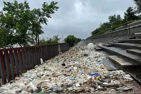 台风烟花之后，江堤上飘来了大量塑料垃圾，人类该反思了图片