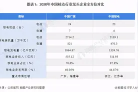 干货！2021年中国核电行业龙头企业分析-中国广核图片