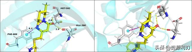 科研论文作图｜零基础用Pymol绘制蛋白质-小分子结合模式图