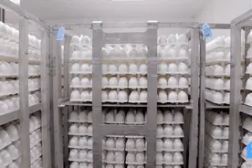 太不可思议了，疫苗竟然是用鸡蛋生产制作的，背后的原理是什么？图片