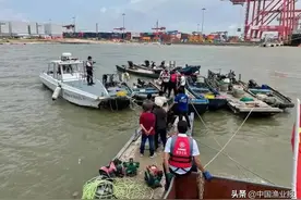 “三无”船休渔期非法捕生蚝，广州南沙区连续查获图片