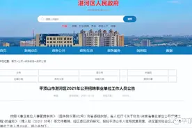 事业单位！150名！平顶山市湛河区发布公开招聘公告图片