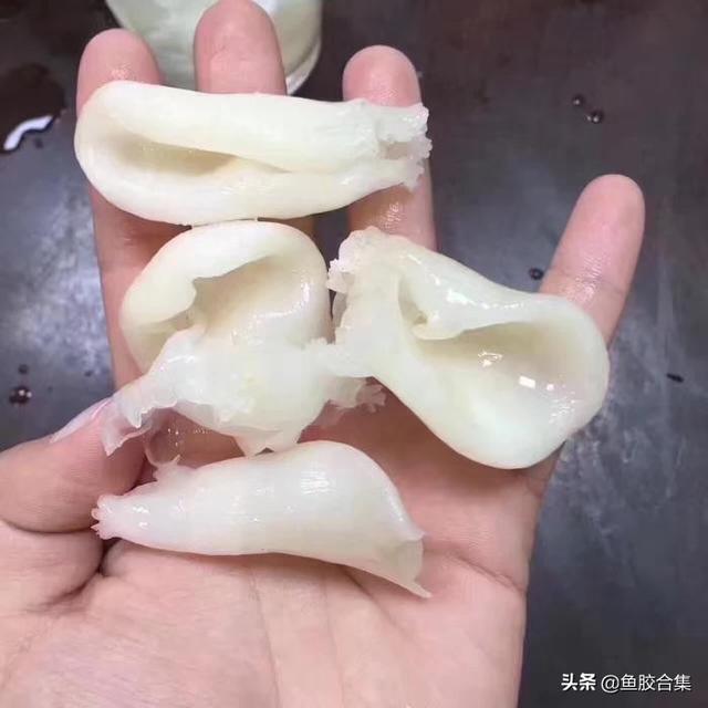花胶中鸡蛋胶 花胶中鸡蛋胶的作用