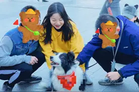 广东深圳“星星的孩子”黯然沉默，“考拉老师”为他们点亮世界图片