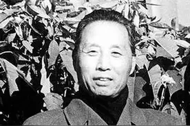 民国历史人物-文坛新月社十二文人(二)图片