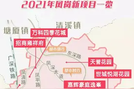 东莞新房｜凤岗踩盘记 （中）图片