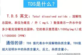分享深圳五大可以打山泉水的地点图片