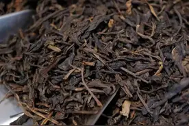 黑茶是什么图片