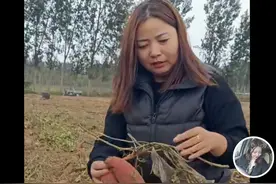 熊磊让堂嫂改变策略，使她打破郭家人的誓言，田静：欢迎公平竞争图片