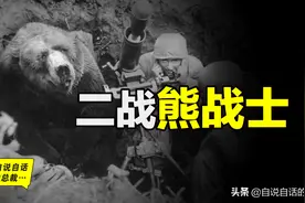 抽烟、喝酒、泡妞，这头熊还参加了二战，简直成精了图片