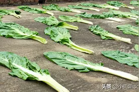 广西农村特色小吃——菜包图片