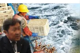 今年，扇贝今年又双叒跑了图片