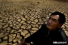 蛇进门不如椿过房可怕？农村俗语如此说，老农民为您分析图片